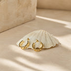 Gouden mini hoops met Cuban link design, Sofia Earrings van hi SISU tegen een schelp